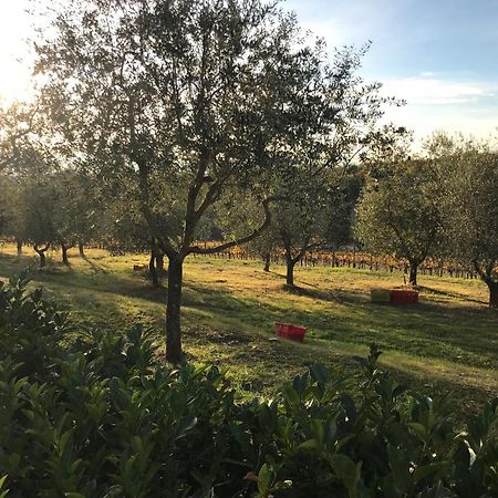 Il Villino Farmhouse Кастелина ин Шианти Экстерьер фото
