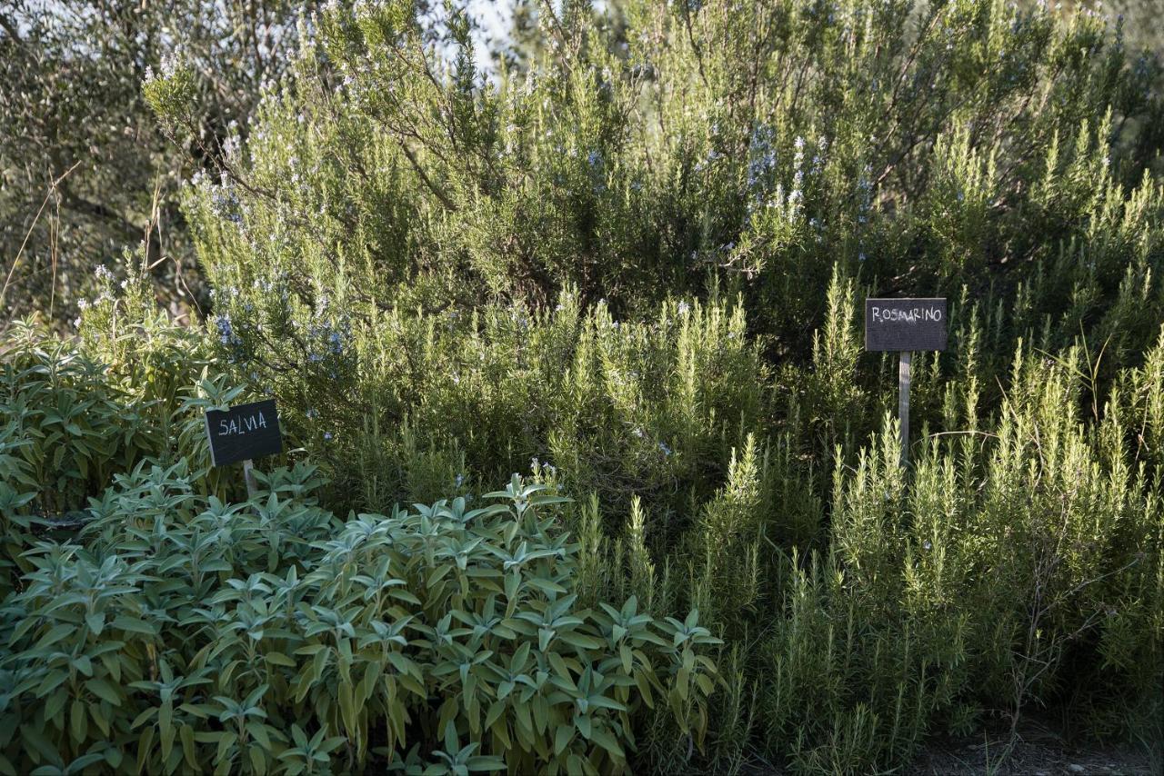 Il Villino Farmhouse Кастелина ин Шианти Экстерьер фото